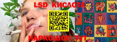 гашик Можга