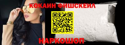 гашик Можга