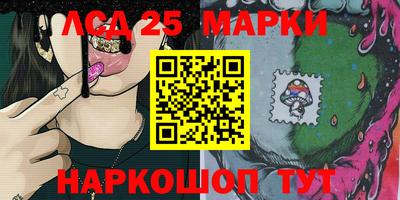 гашик Можга